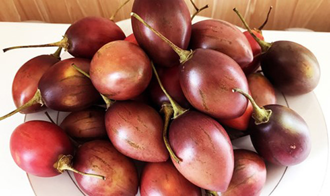 Lâm Đồng: Ban hành quy trình trồng siêu quả 1 triệu đồng/kg