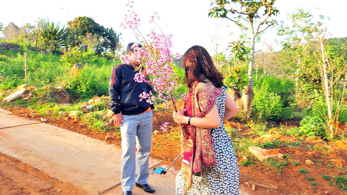 Nữ phó giám đốc sở bẻ hoa ở Đà Lạt bị kỷ luật Đảng