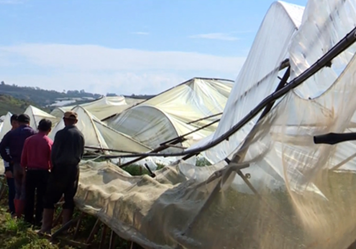 Đà Lạt thiệt hại nặng do mưa đá và lốc xoáy