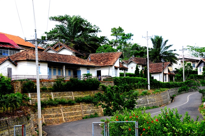 Lâm Đồng: Một ngôi làng khó quên trong sương mờ