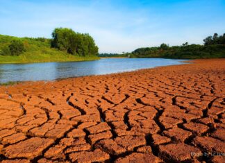 Bảo Lộc: Rủ nhau check-in “vùng đất chocolate”
