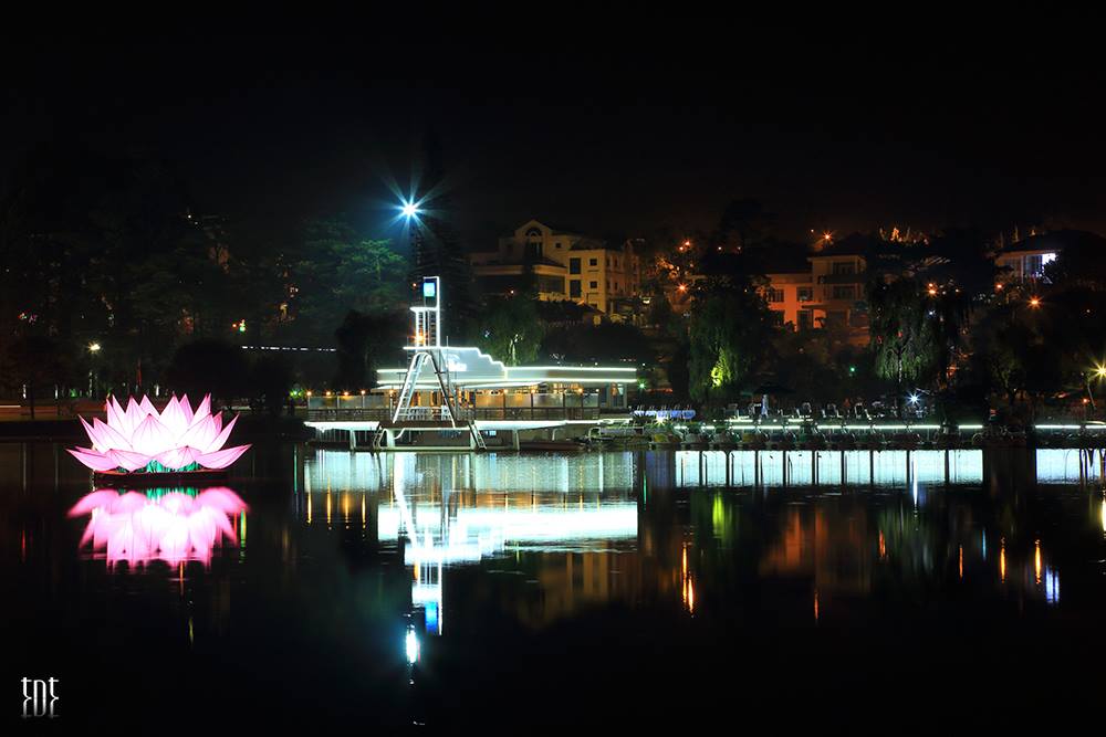 Đà Lạt: Thắp sáng 7 đài sen khổng lồ trên hồ Xuân Hương