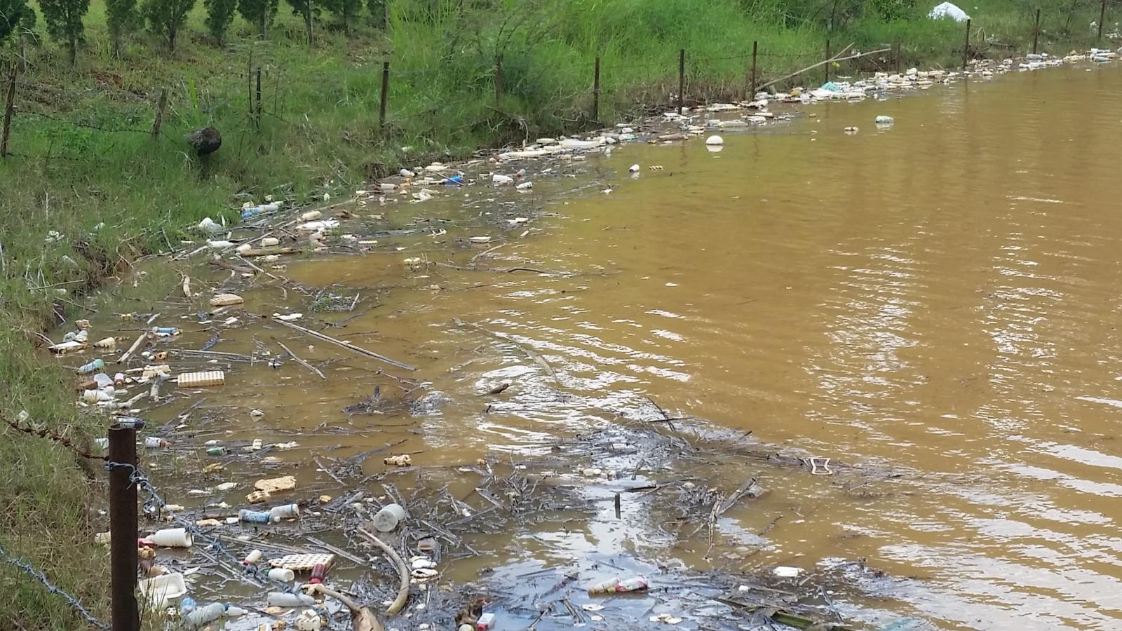 Ô nhiễm nguồn cung cấp nước sinh hoạt cho Đà Lạt