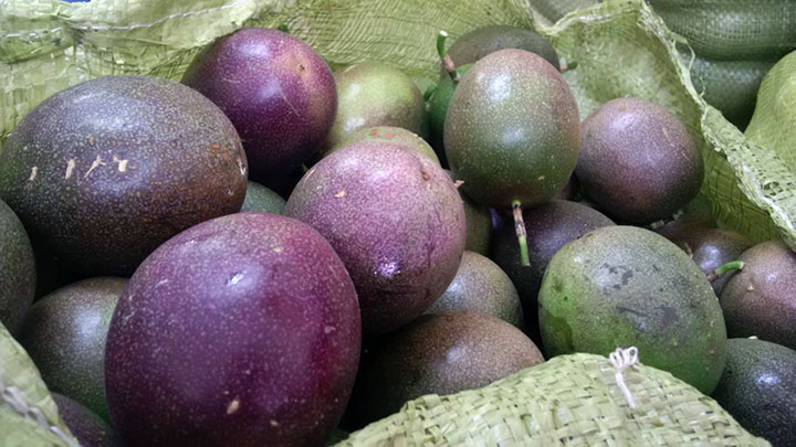 5.000 đồng/kg chanh dây, nông dân Lâm Đồng “méo mặt”