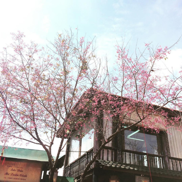 Mê quá trời ‘NGÔI LÀNG NHẬT BẢN’ đẹp mê muội giữa lòng Đà Lạt