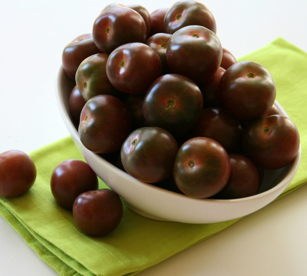 Lâm Đồng: Cà chua chocolate đạt năng suất 40 tấn mỗi ha