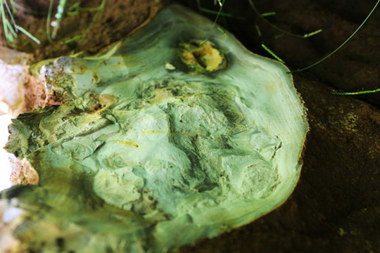 Bảo Lâm: Bàn giao tảng đá bán quý 20 tấn về khu dự trữ sinh quyển Langbiang