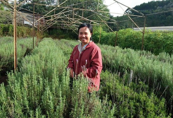 Đà Lạt: Bỏ phồn hoa đô thị, lên rừng trồng hoa