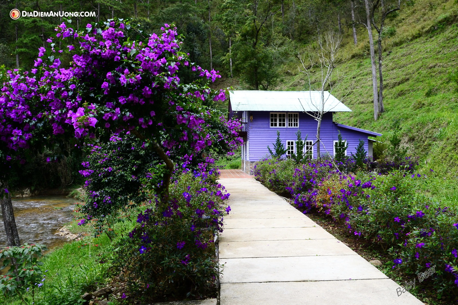 Du ngoạn tất tần tật Đà Lạt chỉ từ 140.000đ