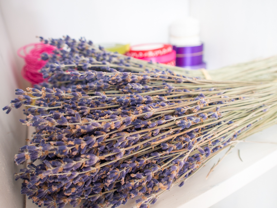 Tiệm Lavender Pháp đầu tiên xuất hiện ở Bảo Lộc