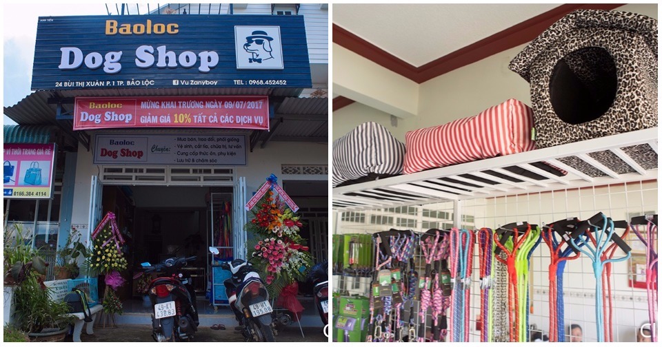 Bảo Lộc: Quá hot dịch vụ chăm sóc cún yêu từ A – Z