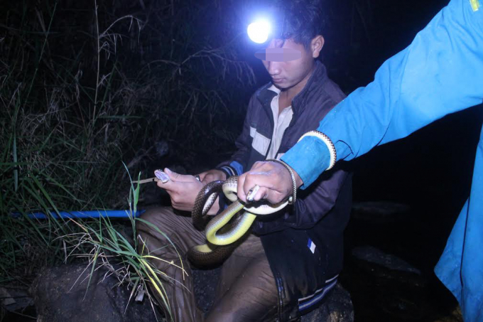 Lâm Đồng: Săn thú rừng xuyên đêm, nguy hiểm luôn rình rập