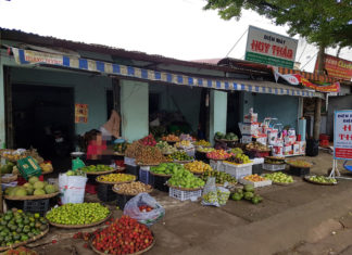 Bảo Lộc: Nữ quái chuyên trộm cắp tài sản “sa lưới”