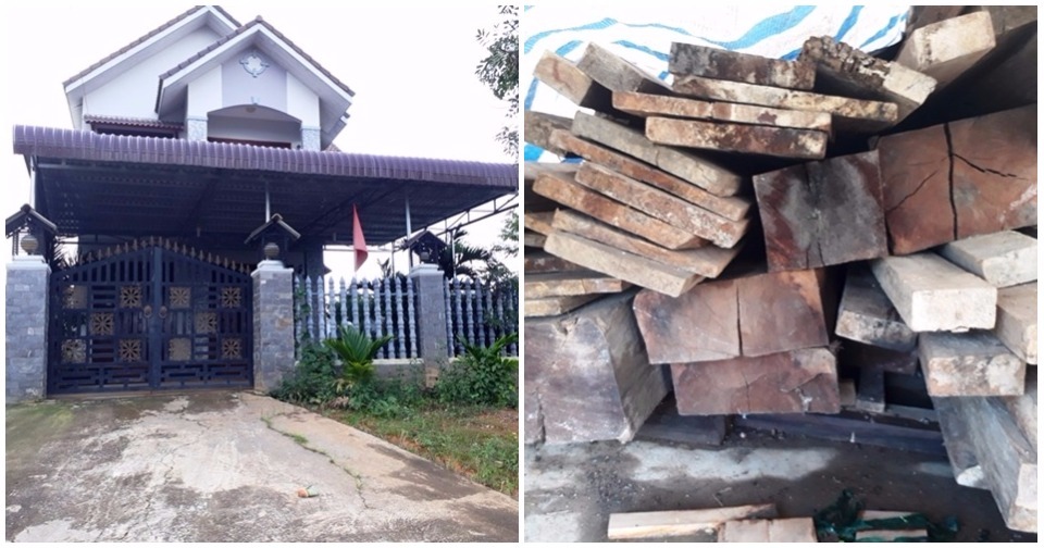 Lâm Đồng: Phát hiện gỗ thông đỏ đặc biệt quý hiếm trong nhà Trưởng ban quản lý rừng