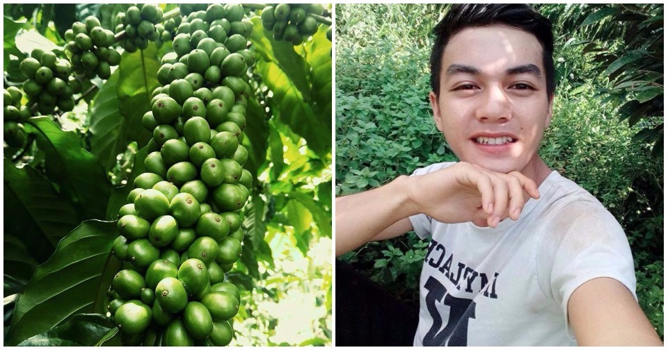 Lâm Đồng: “Hot boy trồng cà phê”