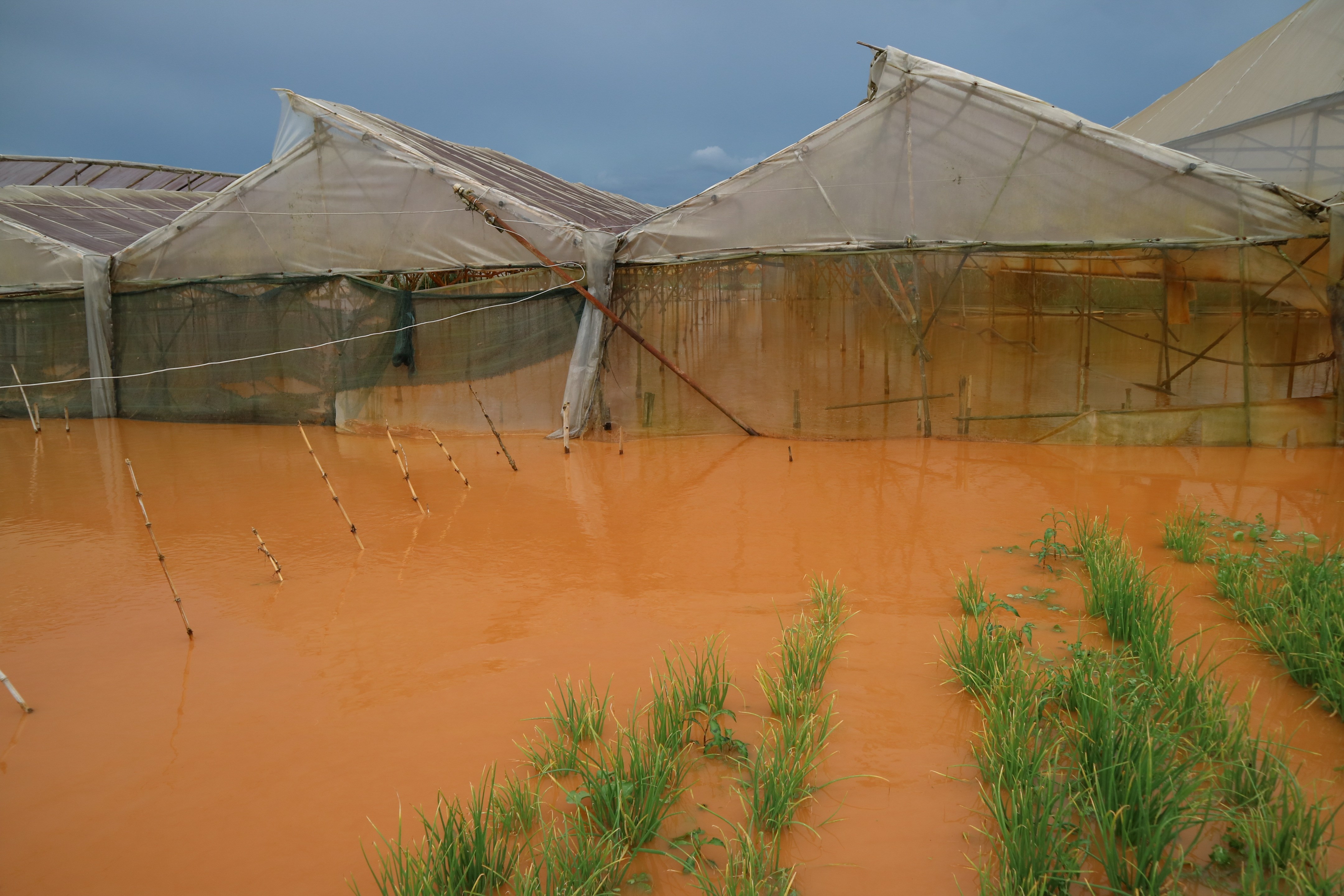 Xem cảnh ngập sâu cả mét nước sau trận mưa lớn ở Đà Lạt