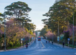 Lâm Đồng: Về quê lương chỉ bằng 1/3 nhưng tôi đã mua được nhà, xe