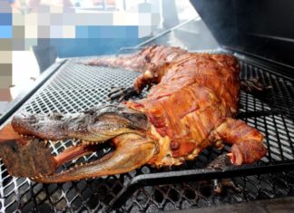 Thưởng thức miễn phí CÁ SẤU NƯỚNG NGUYÊN CON duy nhất tại ĐÀ LẠT & ĐỨC TRỌNG