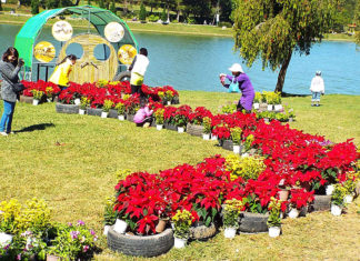 Đà Lạt: Xã hội hóa không gian thưởng lãm hoa