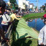 images2016597_chet_duoi_1
