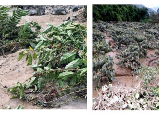 Lâm Đồng: Lũ quét bất ngờ, dân không kịp trở tay