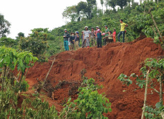 Lâm Đồng: Người dân liều mình vào vùng sạt lở thu hoạch cà phê