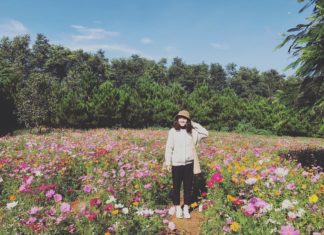 Con tim xuyến xao vì VƯỜN HOA 7 MÀU vừa xuất hiện ngay Đà Lạt