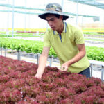 Bi-che-khung-thac-si-lam-nong-thu-loi-nhuan-tram-trieu-dong-img_6293-1508923403-width500height333 (1)