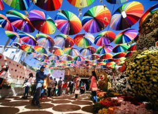 Đà Lạt cam kết không “chặt chém” mùa lễ hội