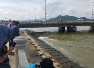 Thanh niên Lâm Đồng cãi nhau với bạn gái, nhảy cầu tự tử