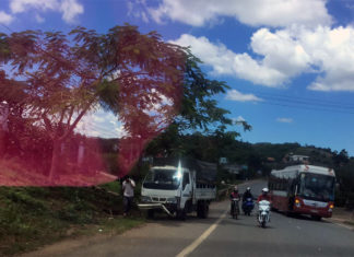 Lâm Đồng: Xe Thành Bưởi va chạm xe tải, hàng chục hành khách hoảng loạn