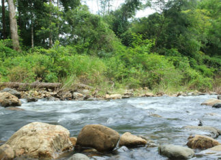 Nữ phượt thủ tử vong vì lũ cuốn khi xuyên rừng Tà Năng – Phan Dũng