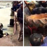 Untitled collage (1)