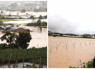 Rơi nước mắt nhìn thủ phủ rau Đà Lạt chìm trong biển nước