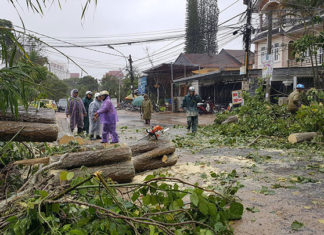 Lâm Đồng: Bão đổ bộ, toàn bộ học sinh được nghỉ học, hàng loạt cây cối ngã đổ