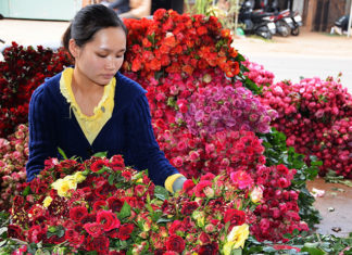 Giá hoa Đà Lạt tăng hơn gấp đôi trước lễ 20-11