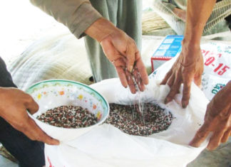 Lâm Đồng: 150 bao phân bón giả làm tang vật “biến mất”