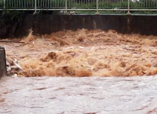 Bão số 12 tại Lâm Đồng: Đã xác định nguyên nhân và danh tính 02 người thiệt mạng