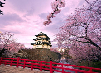 Xúc tiến đường bay Hàn Quốc đi Đà Lạt và ngược lại