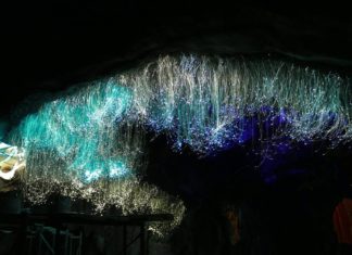 HANG ĐỘNG PHÁT SÁNG độc lạ đang sốt rần rần ở Đà Lạt