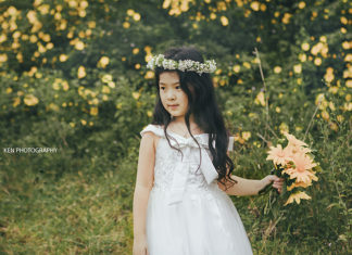 Dã Quỳ mùa chớm Đông!