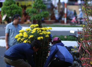 UBND Phường 1 thông báo về việc đăng ký kinh doanh tại chợ hoa Xuân Tết 2018