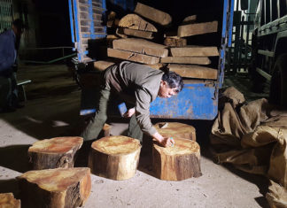 Bảo Lâm: Trắng đêm theo chân trinh sát đi bắt gỗ lậu