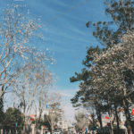 Processed with VSCO with a7 preset