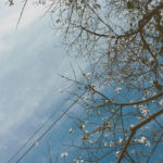 20180221-042930-img_2117s