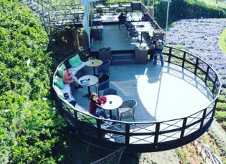 Đà Lạt: Quán cà phê ảo diệu giữa cánh đồng hoa gây sốt mạng xã hội