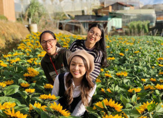 Những điểm vui chơi ‘chất phát ngất’ liên tục ra lò ở Đà Lạt