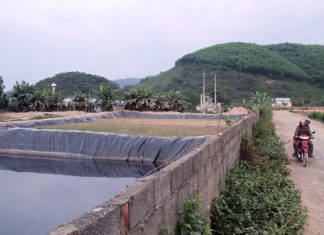 Lâm Đồng: Yêu cầu di dời đàn heo 9.000 con ra khỏi trang trại gây ô nhiễm