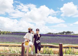 Mê mẩn CÁNH ĐỒNG LAVENDER lớn nhất Đà Lạt