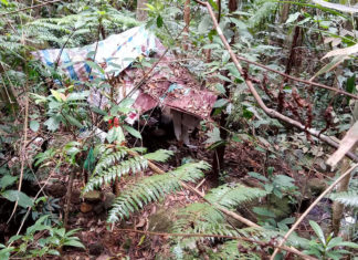 Lâm Đồng: Phát hiện thi thể nam thanh niên chết giữa rừng